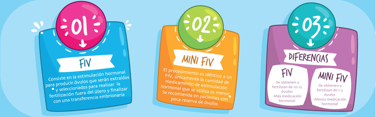 ¿Qué diferencias existe entre la fertilización in vitro y el mini FIV?