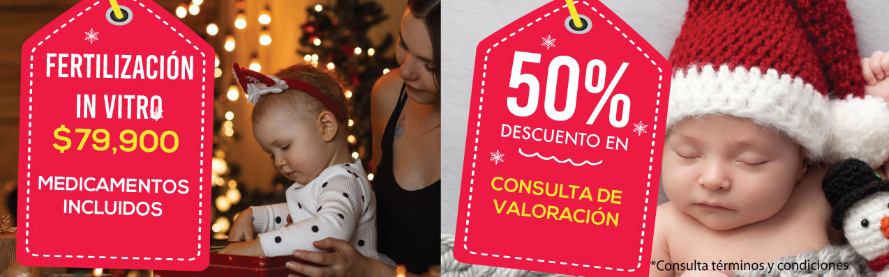 Términos y Condiciones. Promociones Diciembre 2019
