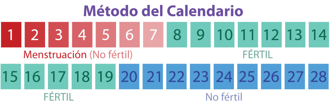 Método del calendario de fertilidad, ¿Cómo usarlo?